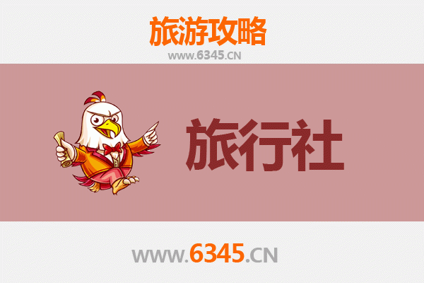 新竹东区旅行社推荐：在地人私藏的深度旅游攻略